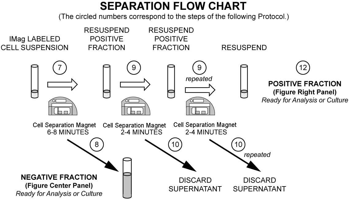 separationstep7a.png
